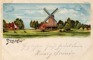 Ansicht Prerow Windmühle um 1899